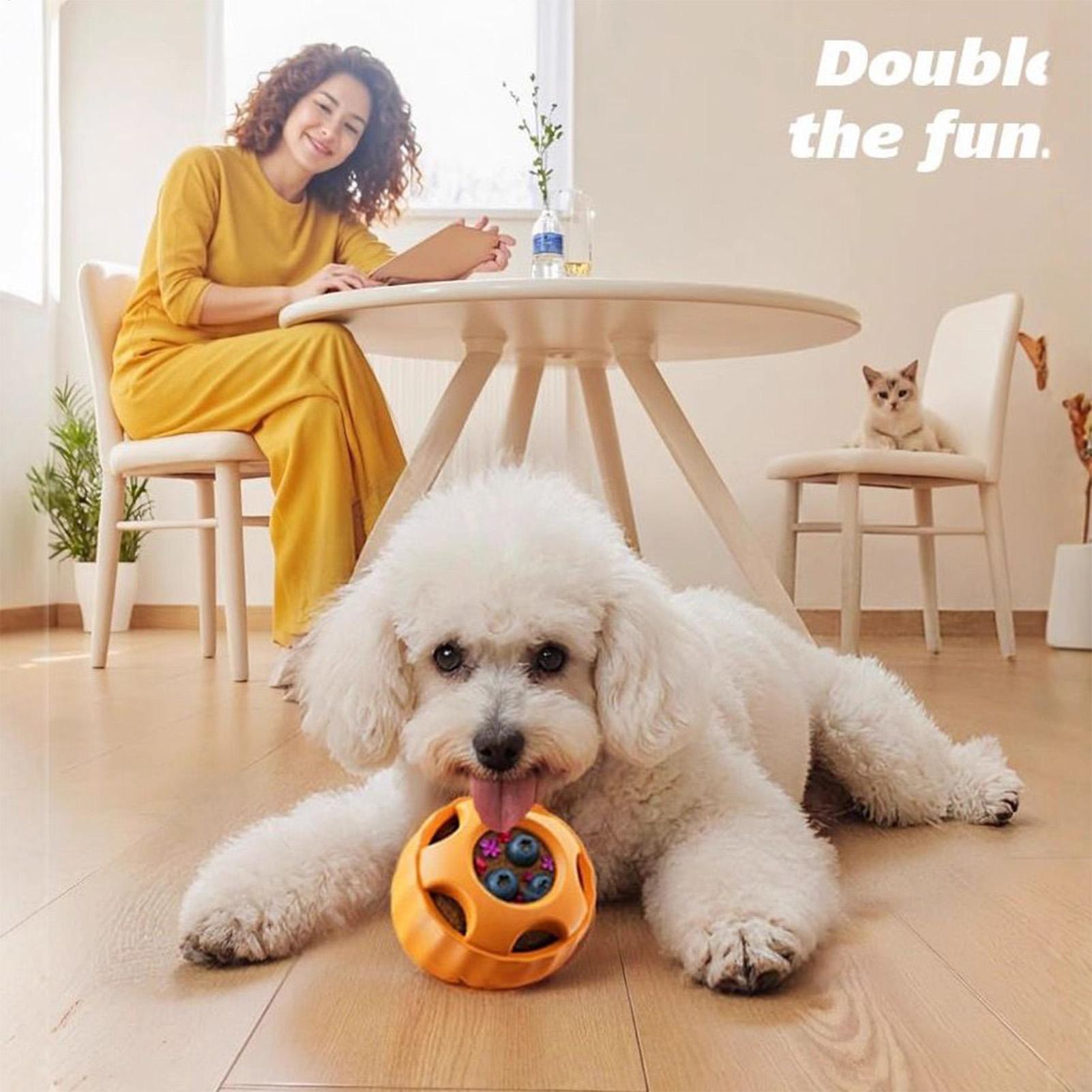 Treat Dispensing Dog Toys Dog  - đánh giá và giá Dog Puzzle Feeder Toy