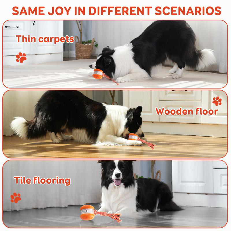 Smart Electric Interactive Pet - đánh giá và giá Automatic Moving Dog Ball