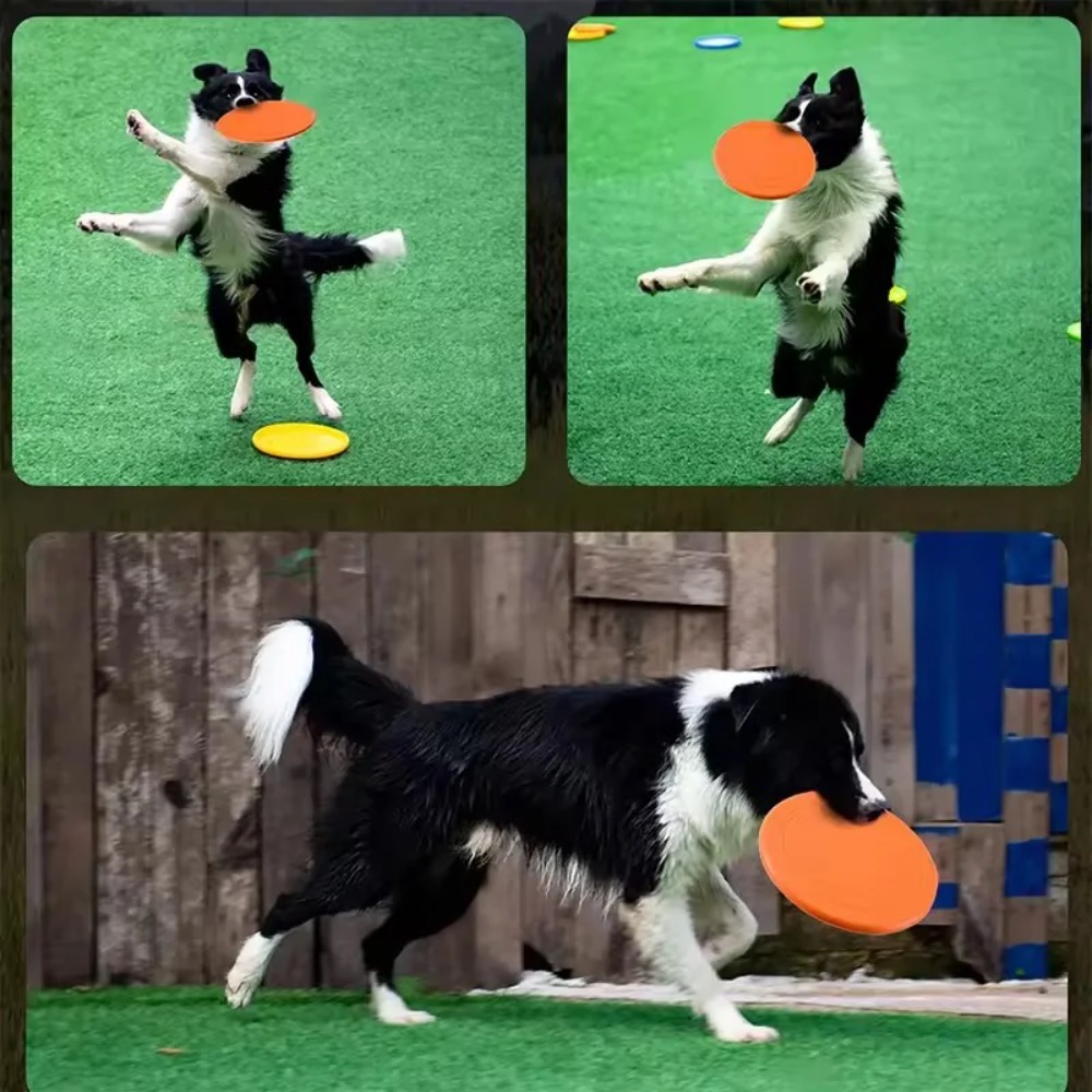 Dog Flying Disc TPR Pet Toy In - đánh giá và giá Flying Disc Dog Training Toy