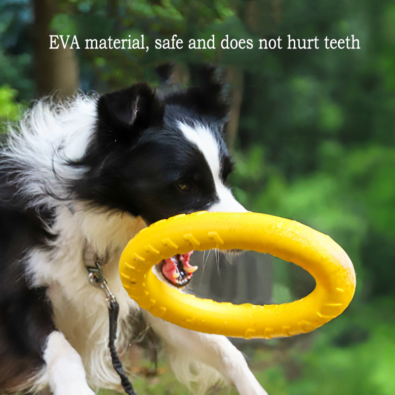 EVA Durable Dog Toys 4 Pack  F - đánh giá và giá Indestructible Dog Chew Toy