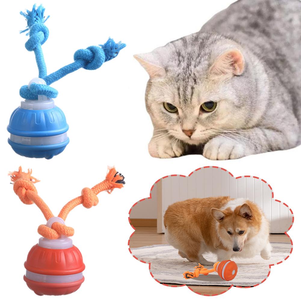 Smart Rechargeable Dog Ball In - đánh giá và giá Automatic Moving Dog Ball