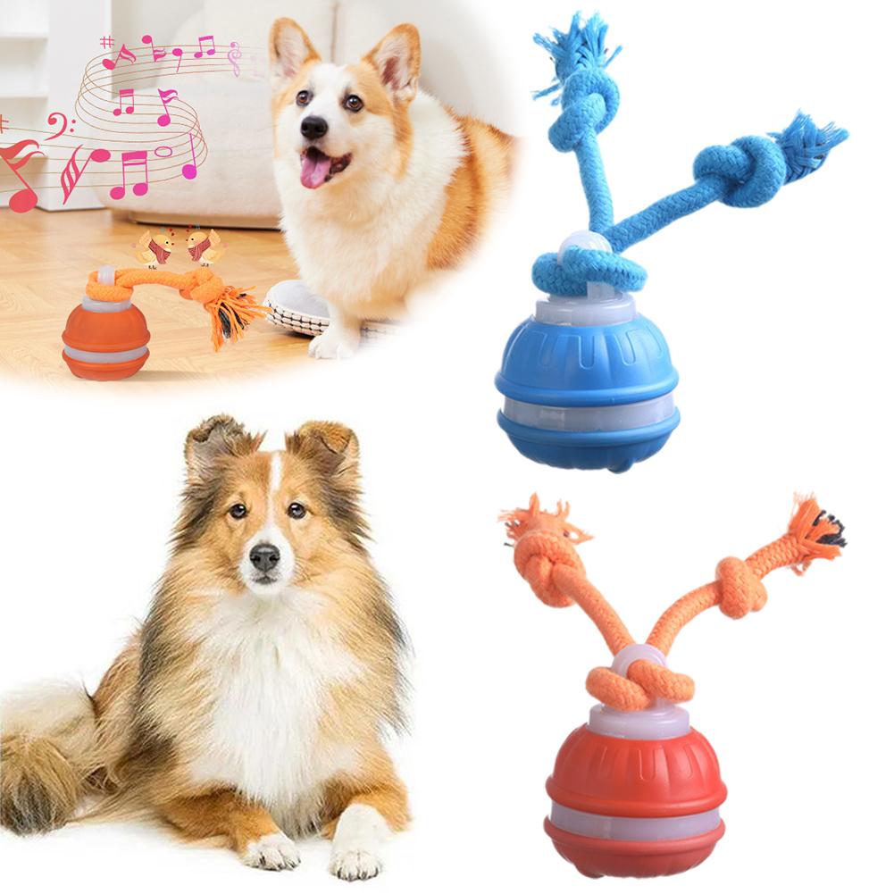 Smart Rechargeable Dog Ball In - đánh giá và giá Automatic Moving Dog Ball
