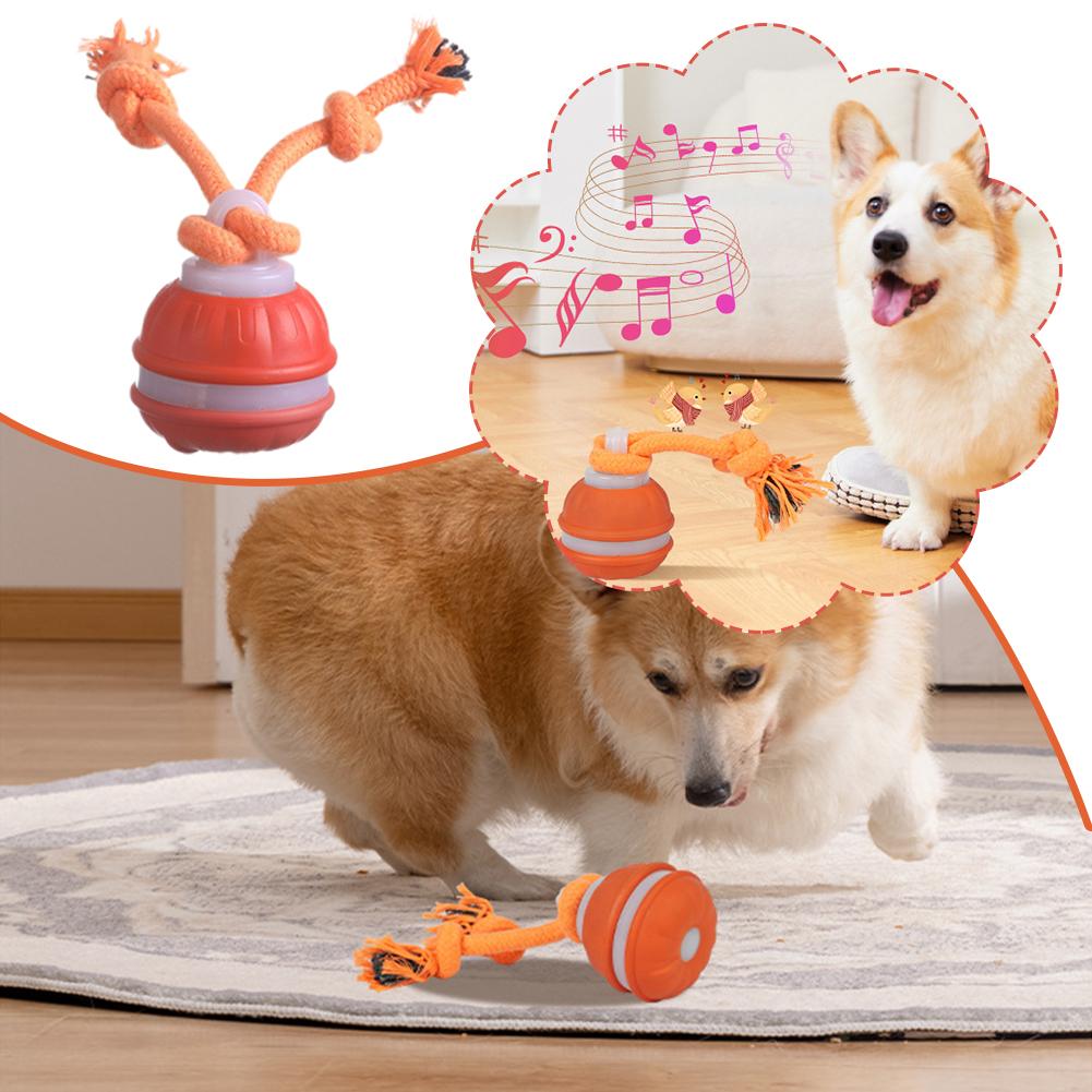 Smart Rechargeable Dog Ball In - đánh giá và giá Automatic Moving Dog Ball