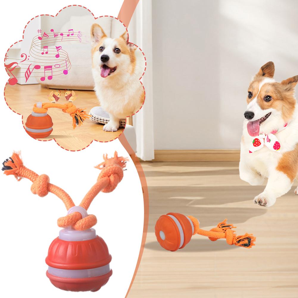 Smart Rechargeable Dog Ball In - đánh giá và giá Automatic Moving Dog Ball