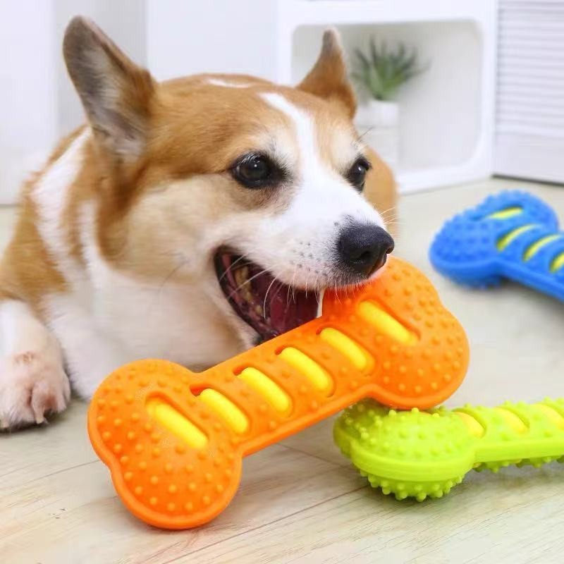 Rubber Bone Dog Molar Stick No - đánh giá và giá Teeth Cleaning Dog Chew Bone