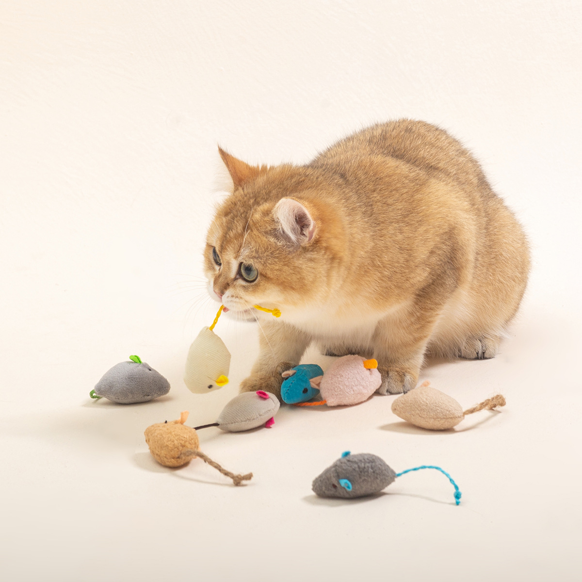 16PCS Interactive Cat Mice Toy - đánh giá và giá Catnip Interactive Plush Mouse
