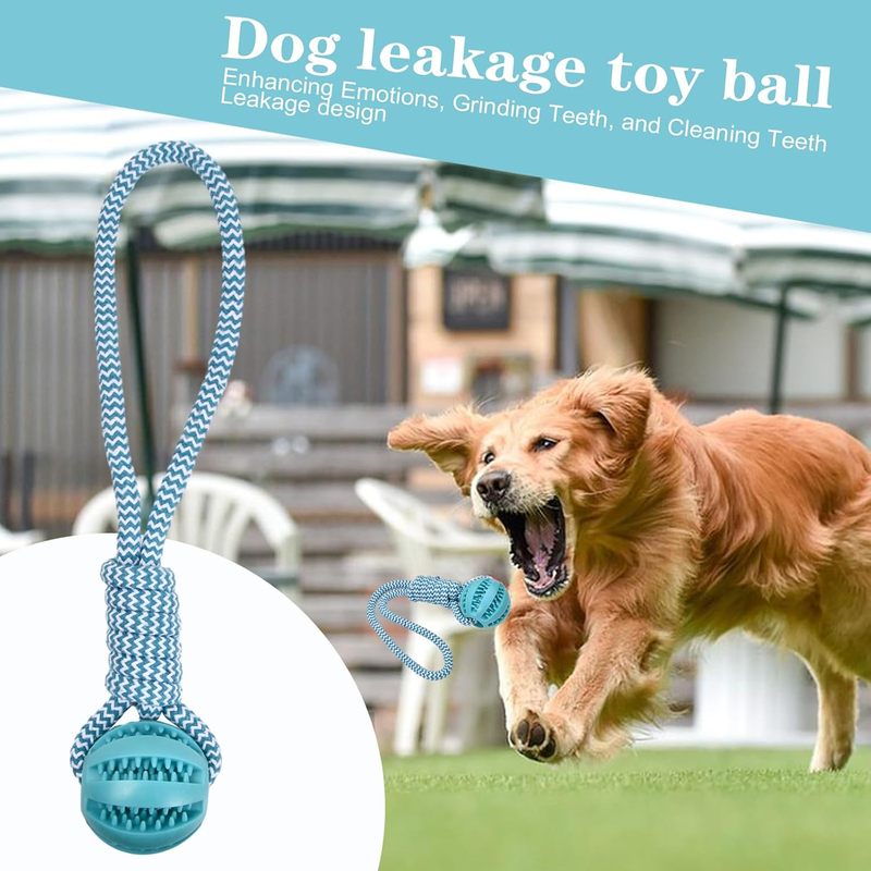 Volumoon Ball on Rope - Indest - đánh giá và giá Indestructible Dog Chew Toy