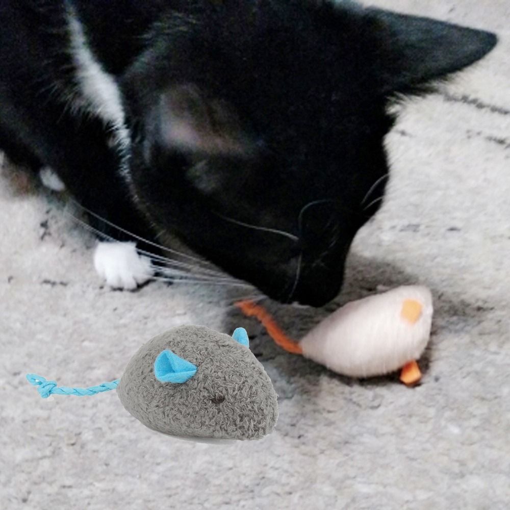 2pcs Funny Plush Soft Interact - đánh giá và giá Catnip Interactive Plush Mouse