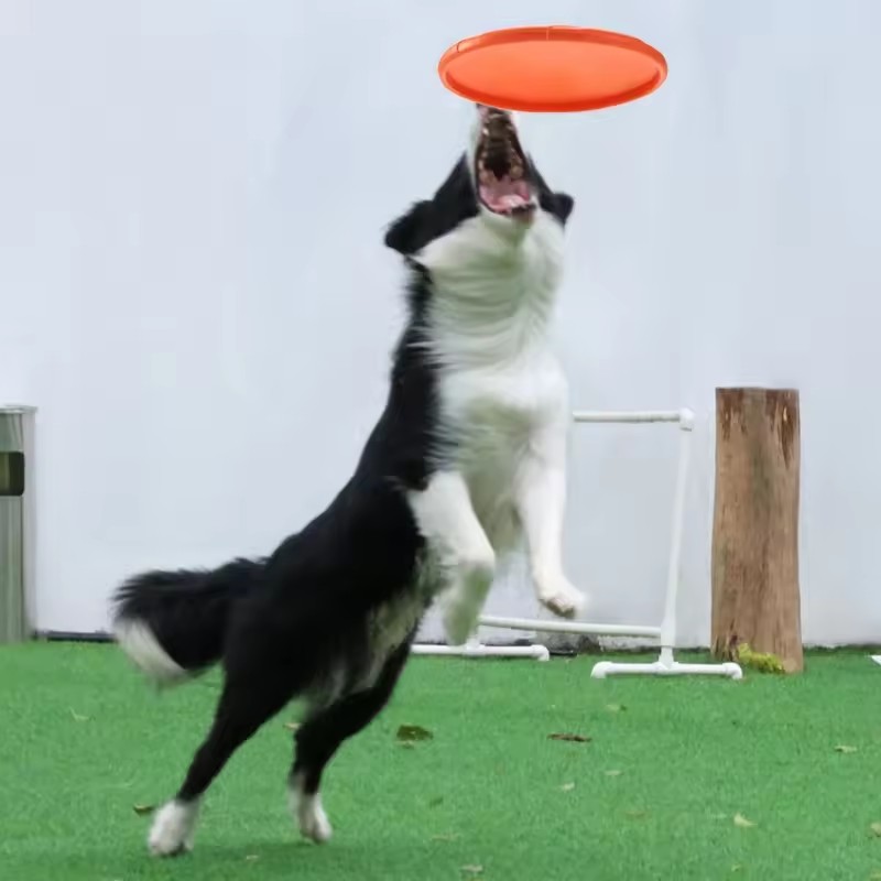 Interactive Silicone Flying Sa - đánh giá và giá Flying Disc Dog Training Toy