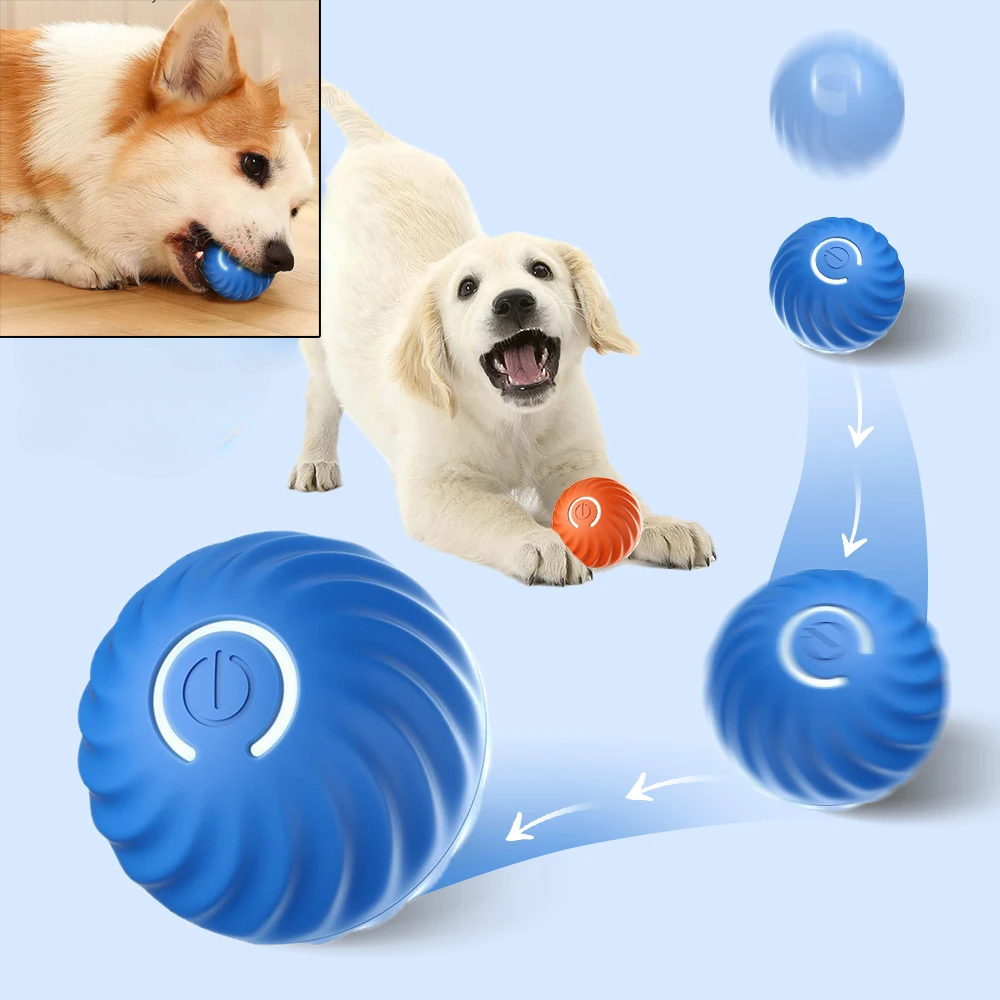 Dog Toy Ball Automatic Moving  - đánh giá và giá Suction Cup Dog Tug Toy