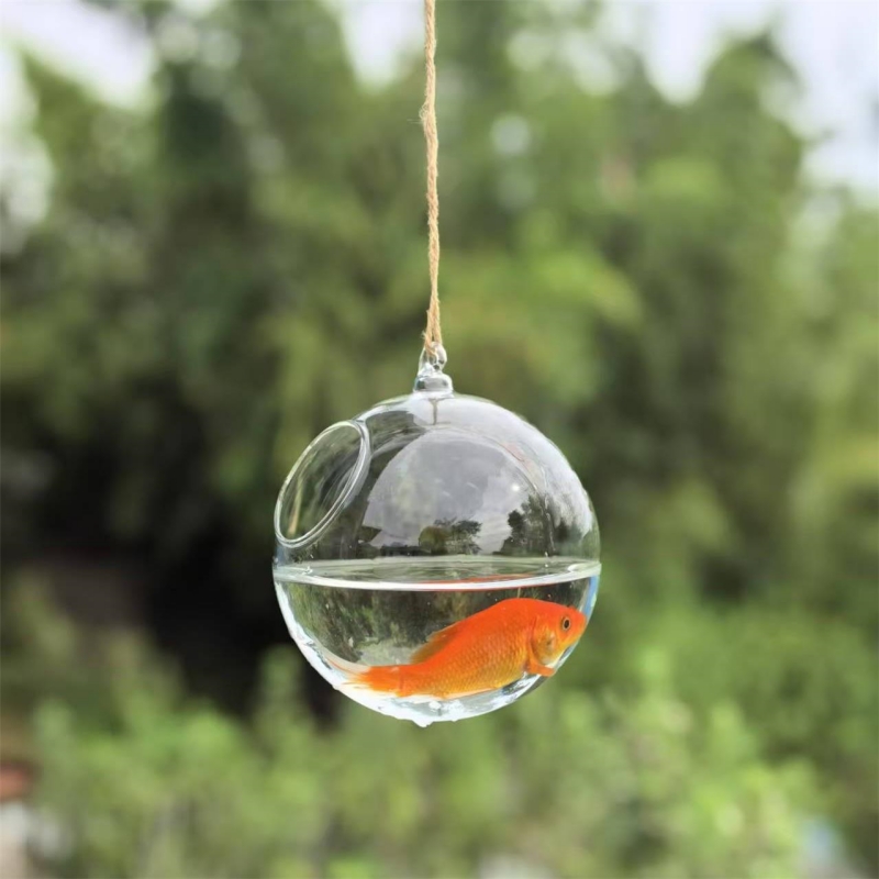 Small Packing Diameter=10cm 12 - đánh giá và giá Aquarium