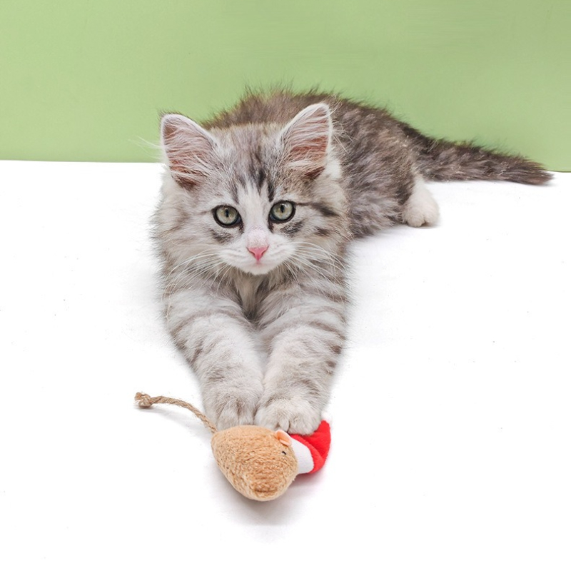 5pcs Cat Push Chew Toy Catnip  - đánh giá và giá Catnip Interactive Plush Mouse
