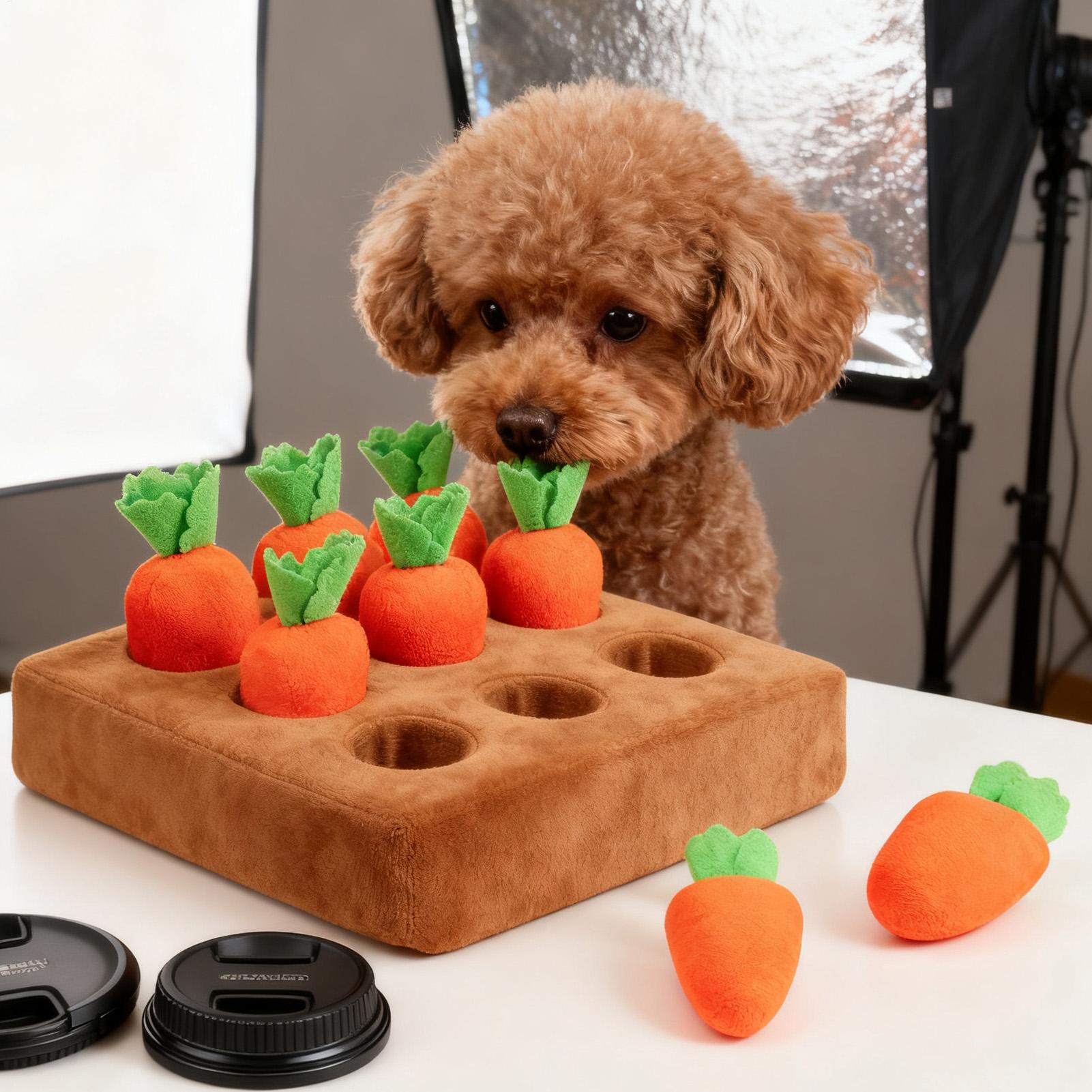 Pet Carrot Interactive Toys Do - đánh giá và giá Snuffle Mat For Dogs