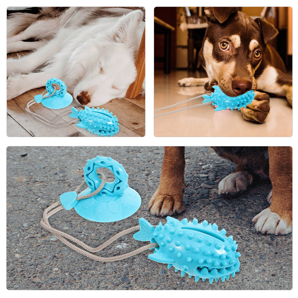 2Pcs Suction Cup Dog Interacti - đánh giá và giá Suction Cup Dog Tug Toy