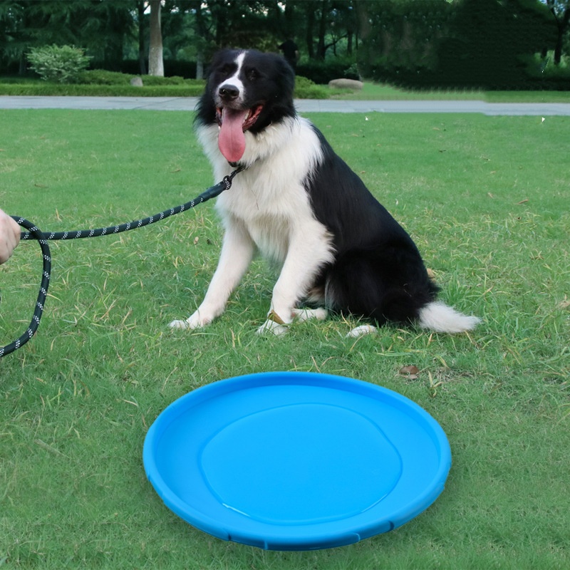 Interactive Silicone Flying Sa - đánh giá và giá Flying Disc Dog Training Toy