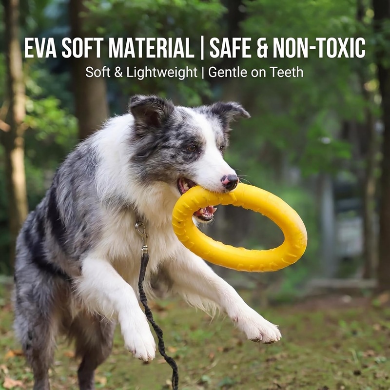 Dog Toys Pet Flying Discs EVA  - đánh giá và giá Flying Disc Dog Training Toy