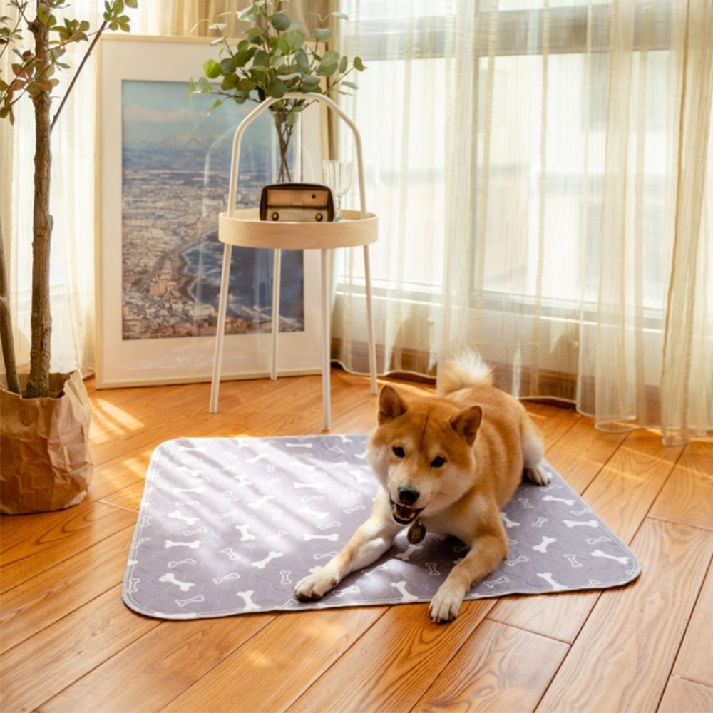Durable Super Absorbent Pet Be - đánh giá và giá Pet Beds