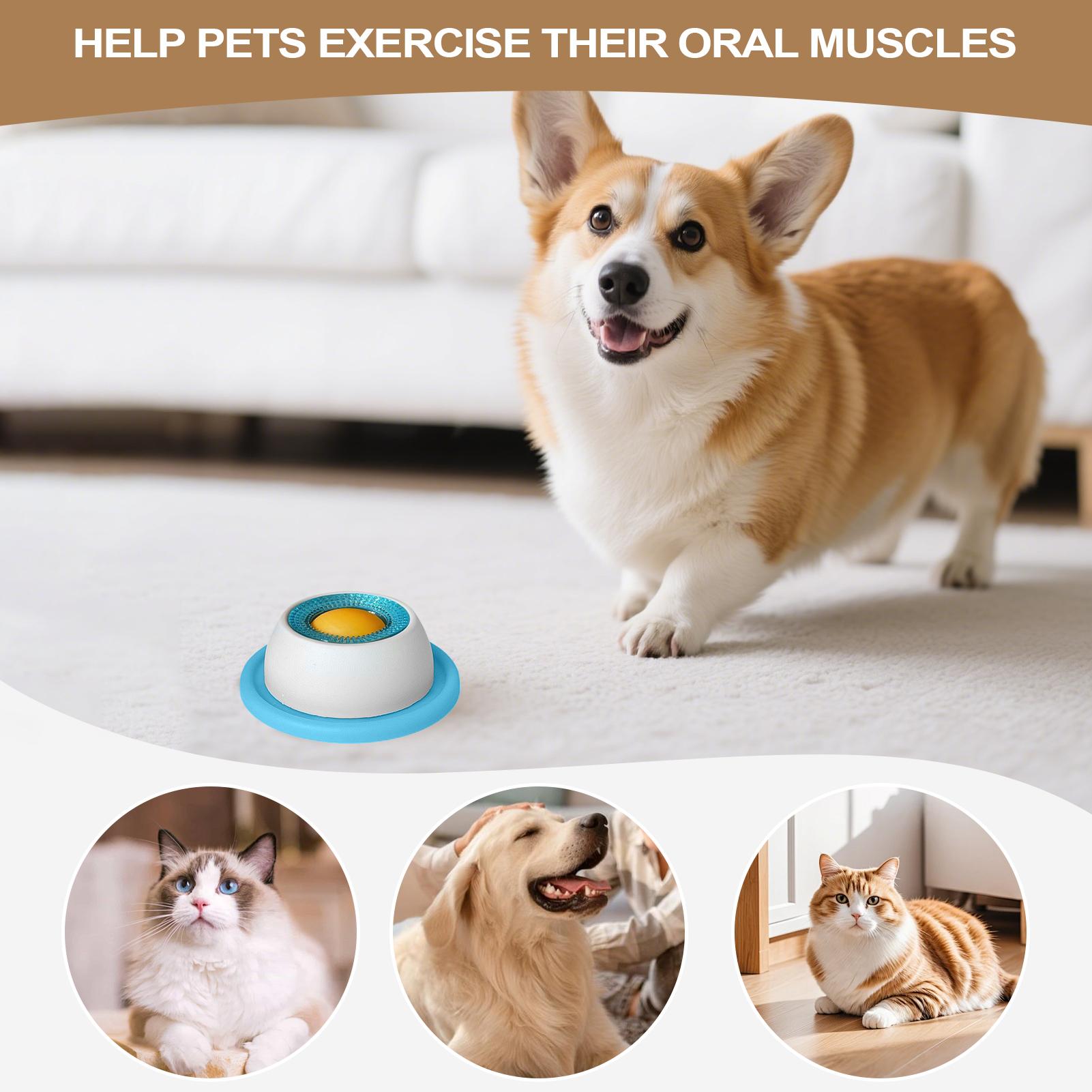 Dog Treat Toy Pet Feeding Acce - đánh giá và giá Dog Puzzle Feeder Toy